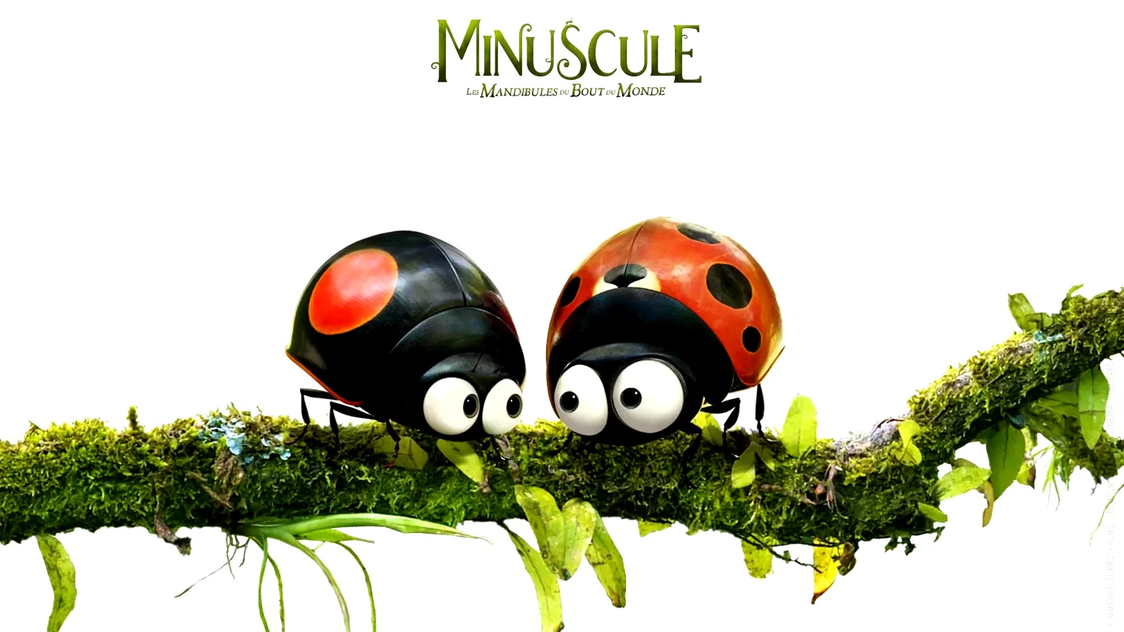 Photo 1 du film : Minuscule 2 : les mandibules du bout du monde