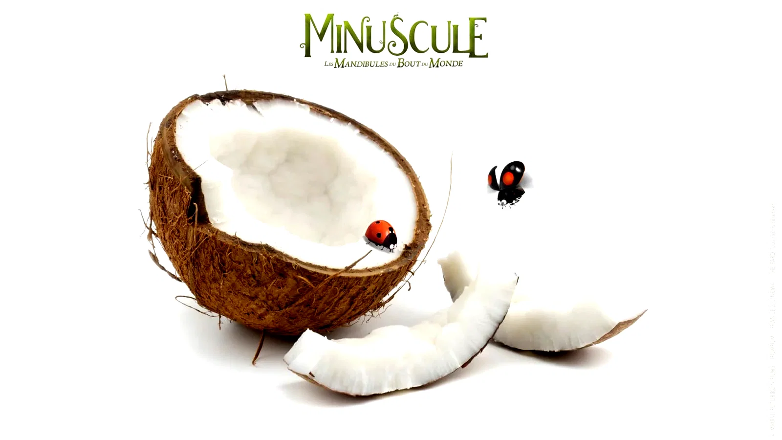 Photo 2 du film : Minuscule 2 : les mandibules du bout du monde