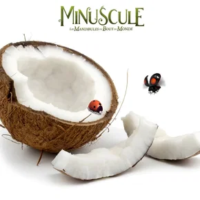 Photo du film : Minuscule 2 : les mandibules du bout du monde