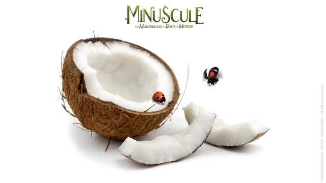 Affiche du film : Minuscule 2 : les mandibules du bout du monde