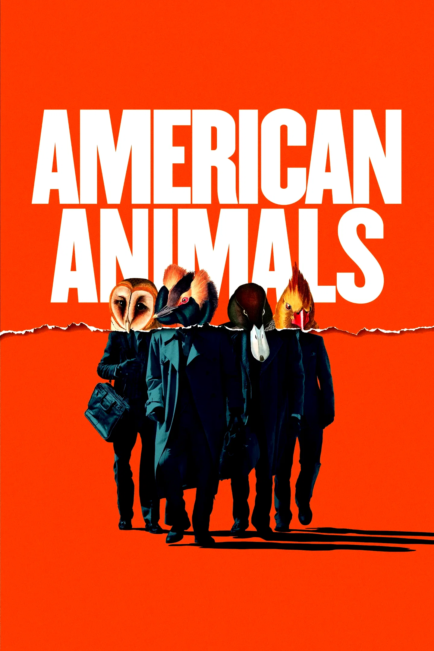 Affiche du film : American Animals