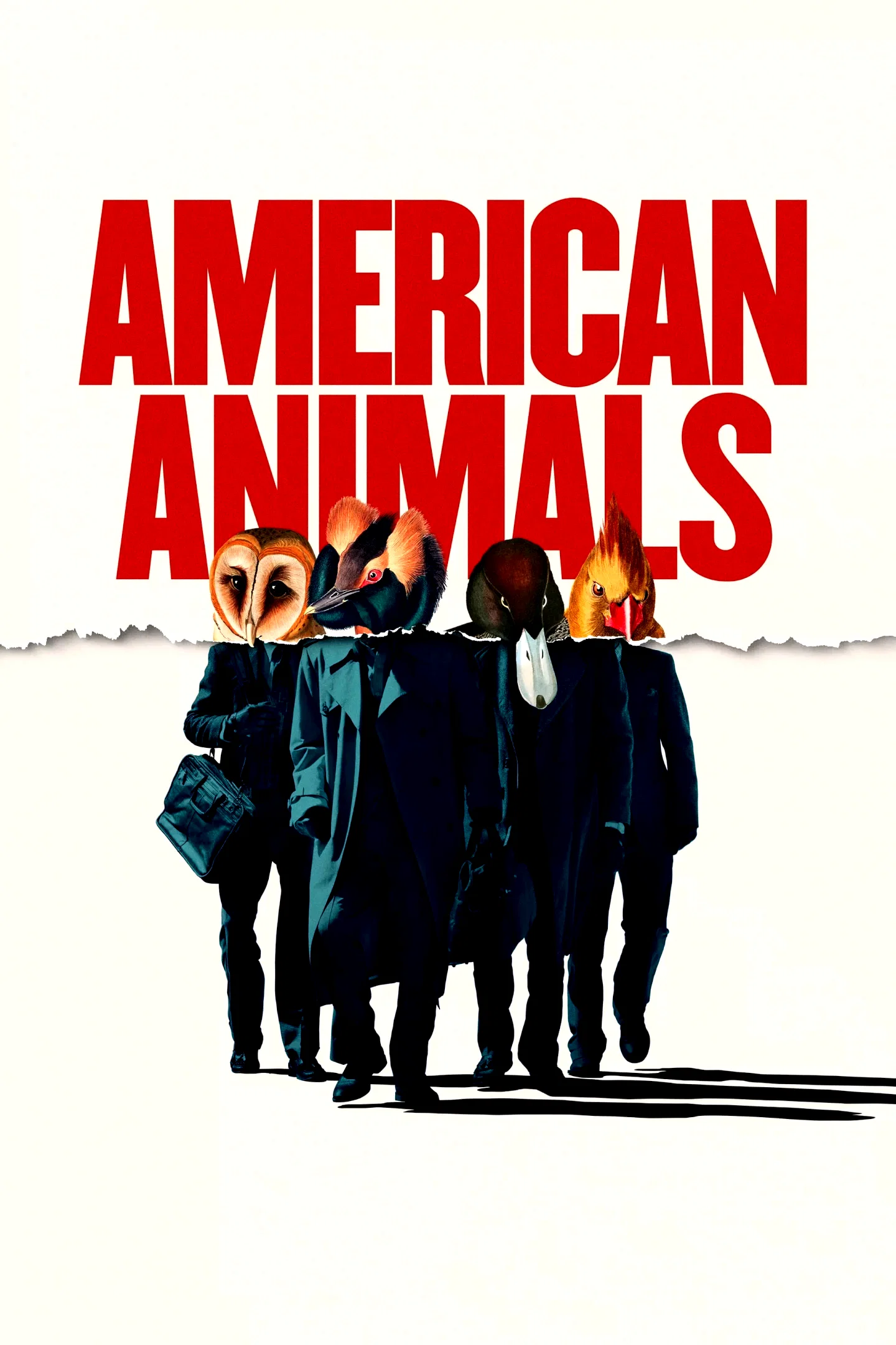 Photo 4 du film : American Animals