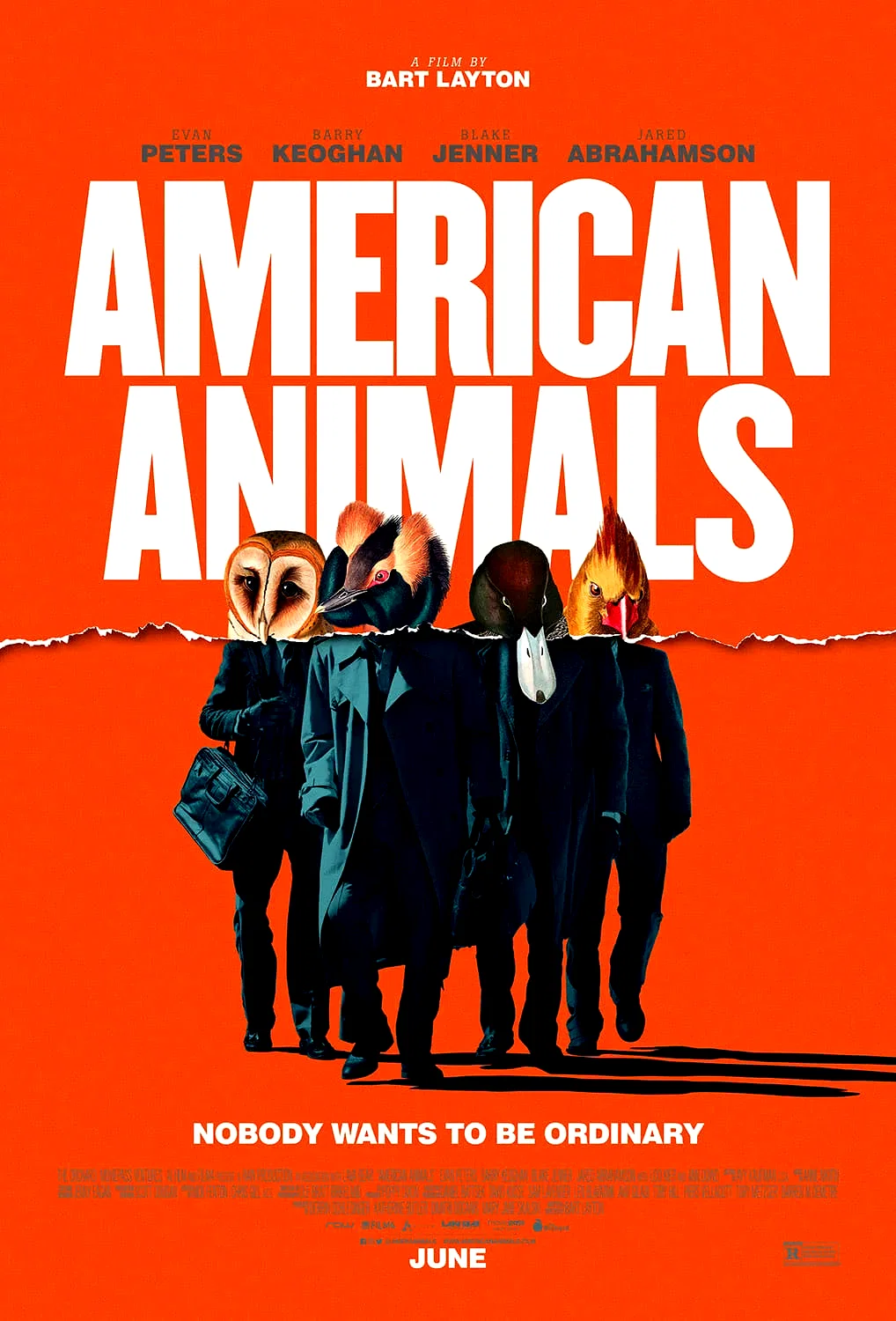 Photo 8 du film : American Animals