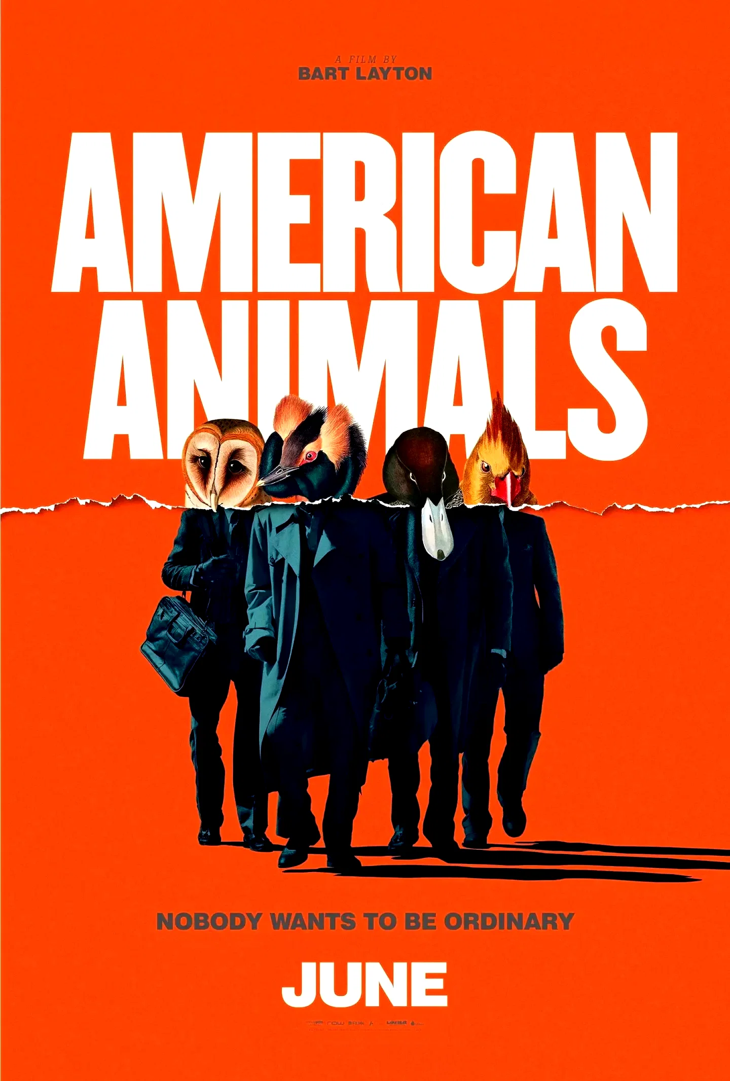 Photo 11 du film : American Animals