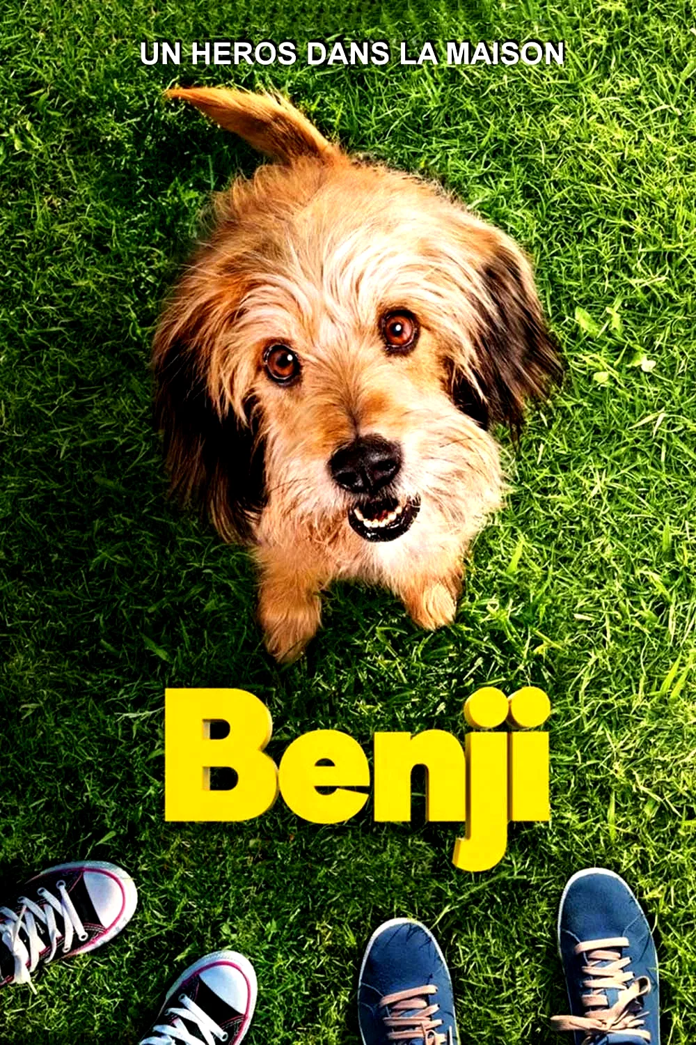 Affiche du film : Benji