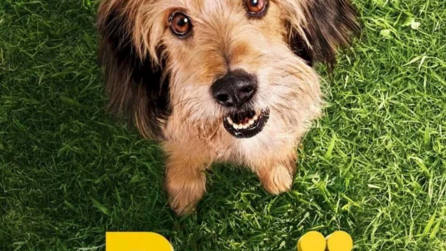 Affiche du film : Benji