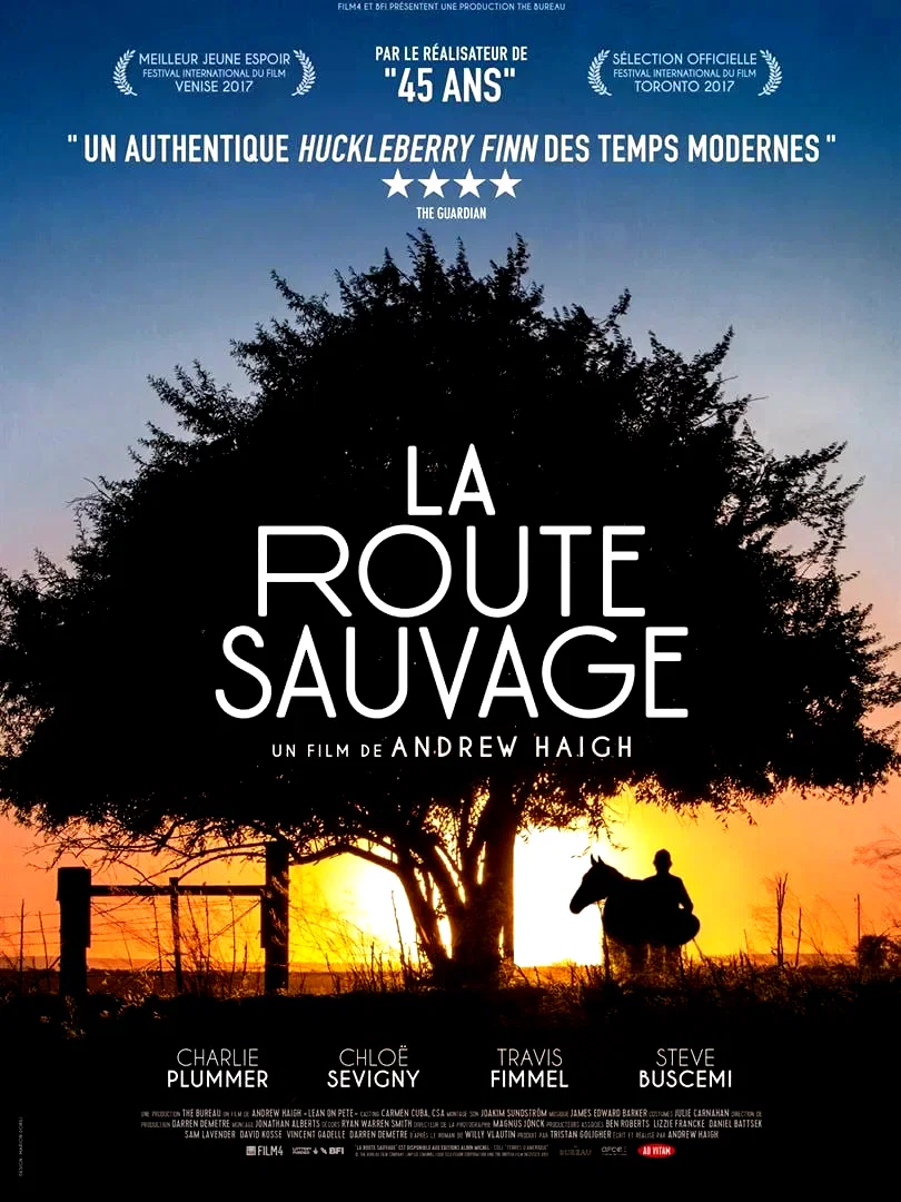 Affiche du film : La Route sauvage
