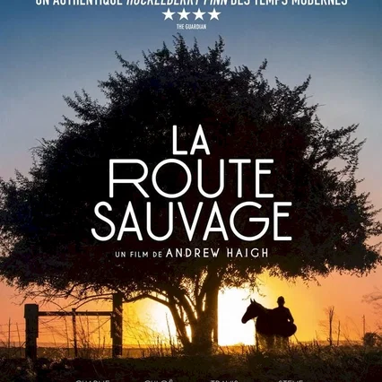 Miniature photo du film : La Route sauvage
