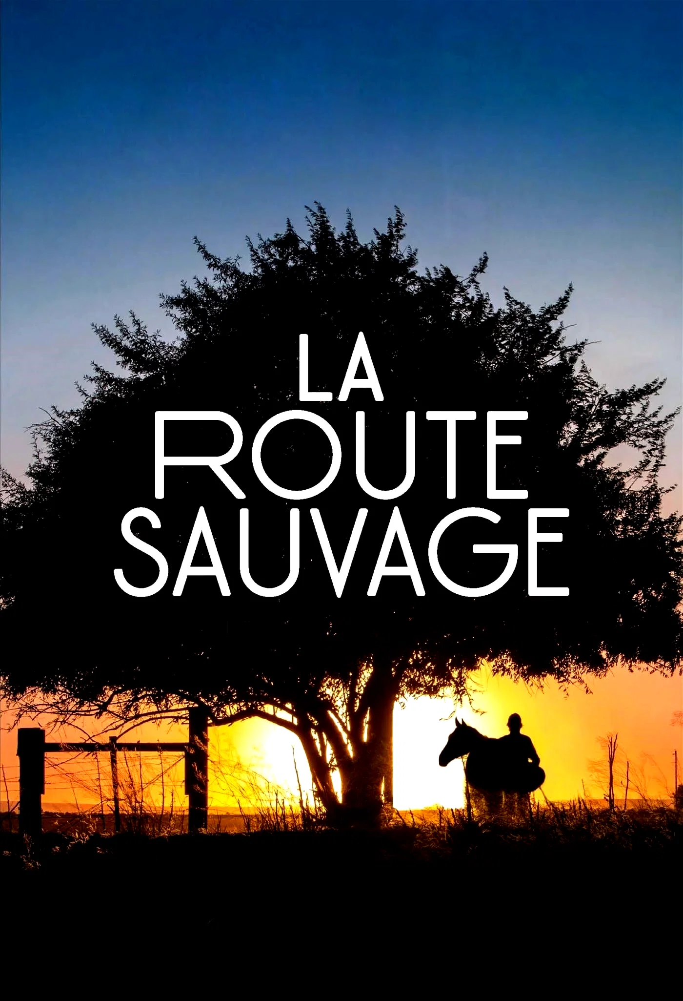 Photo du film : La Route sauvage