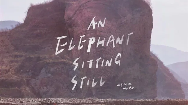 Affiche du film : An Elephant Sitting Still