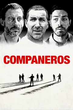 Affiche du film Compañeros