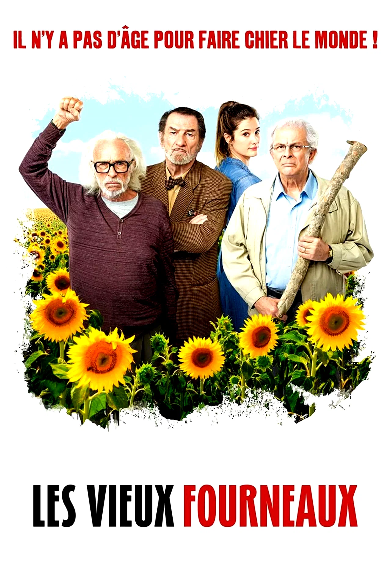 Affiche du film : Les Vieux Fourneaux