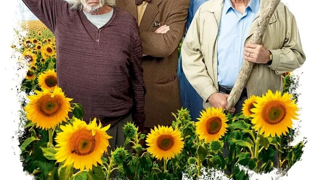 Affiche du film : Les Vieux Fourneaux