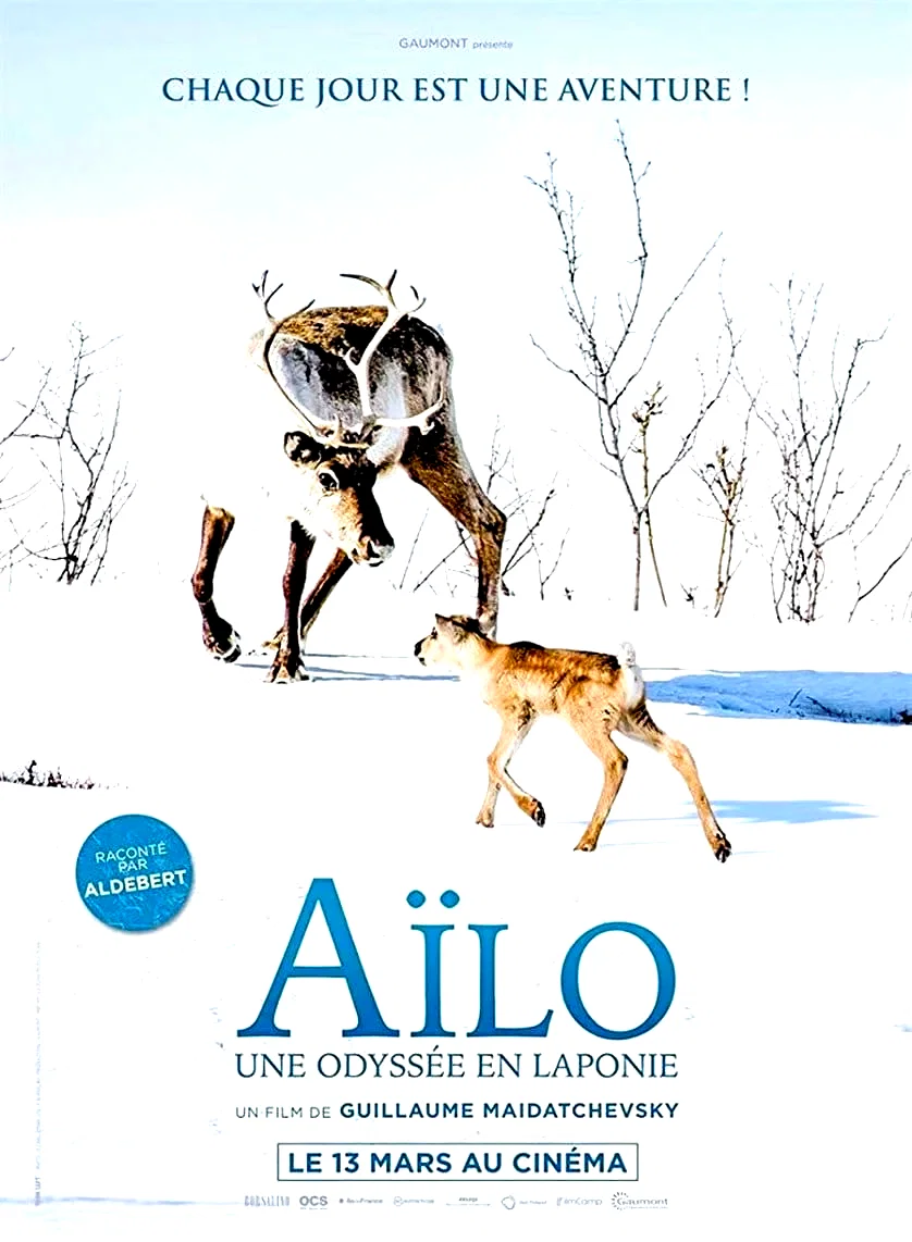 Photo du film : Aïlo : Une odyssée en Laponie