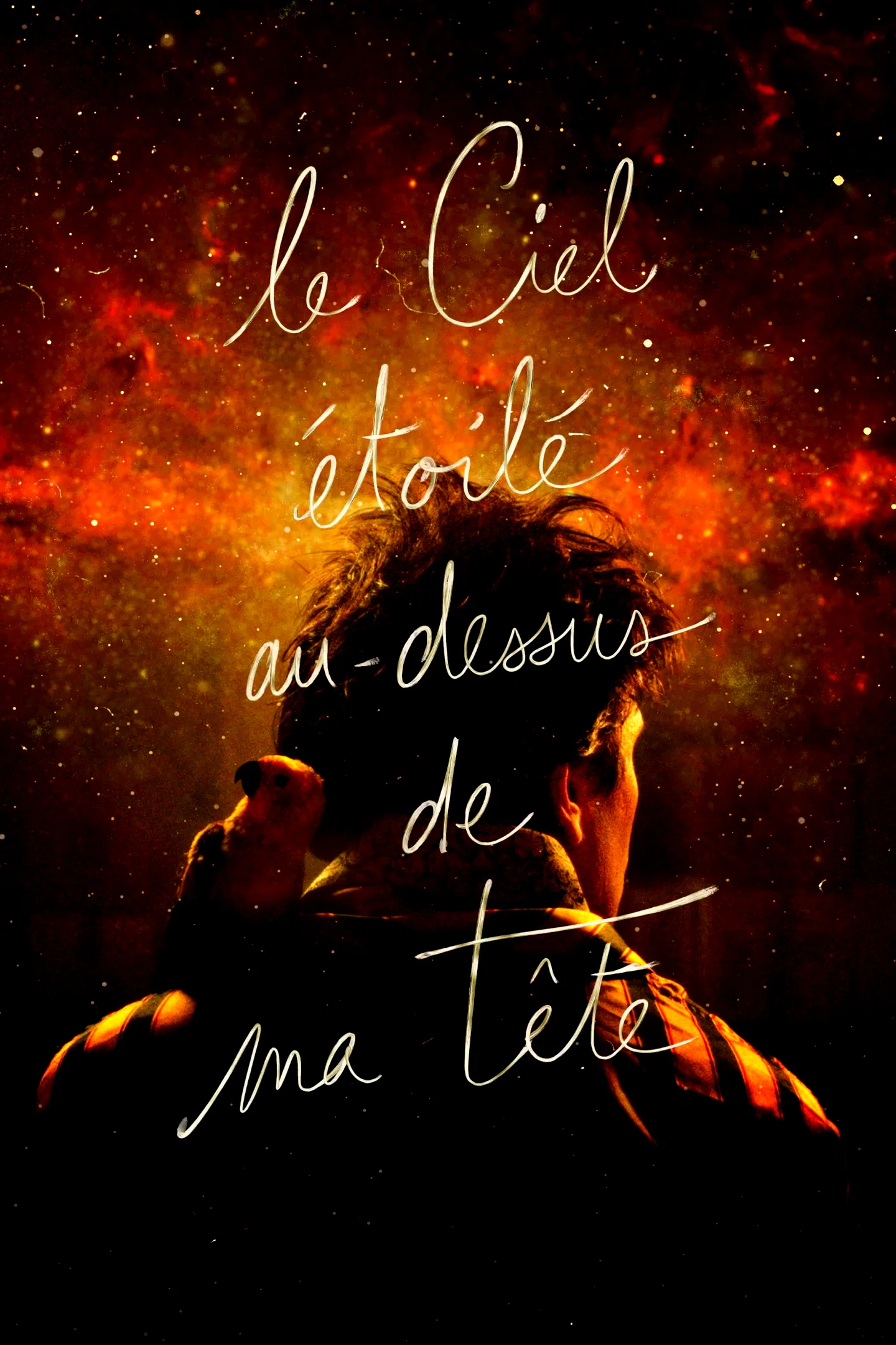 Affiche du film : Le Ciel étoilé au-dessus de ma tête