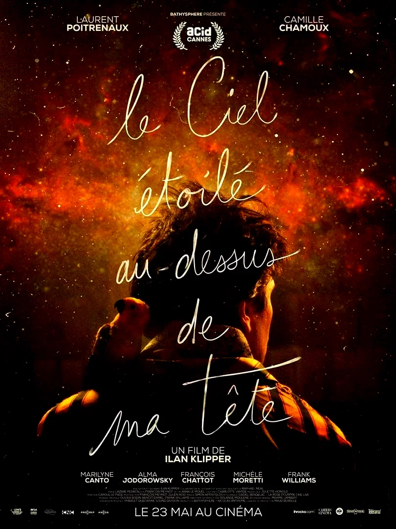 Photo du film : Le Ciel étoilé au-dessus de ma tête