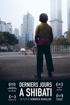 Affiche du film Derniers jours à Shibati