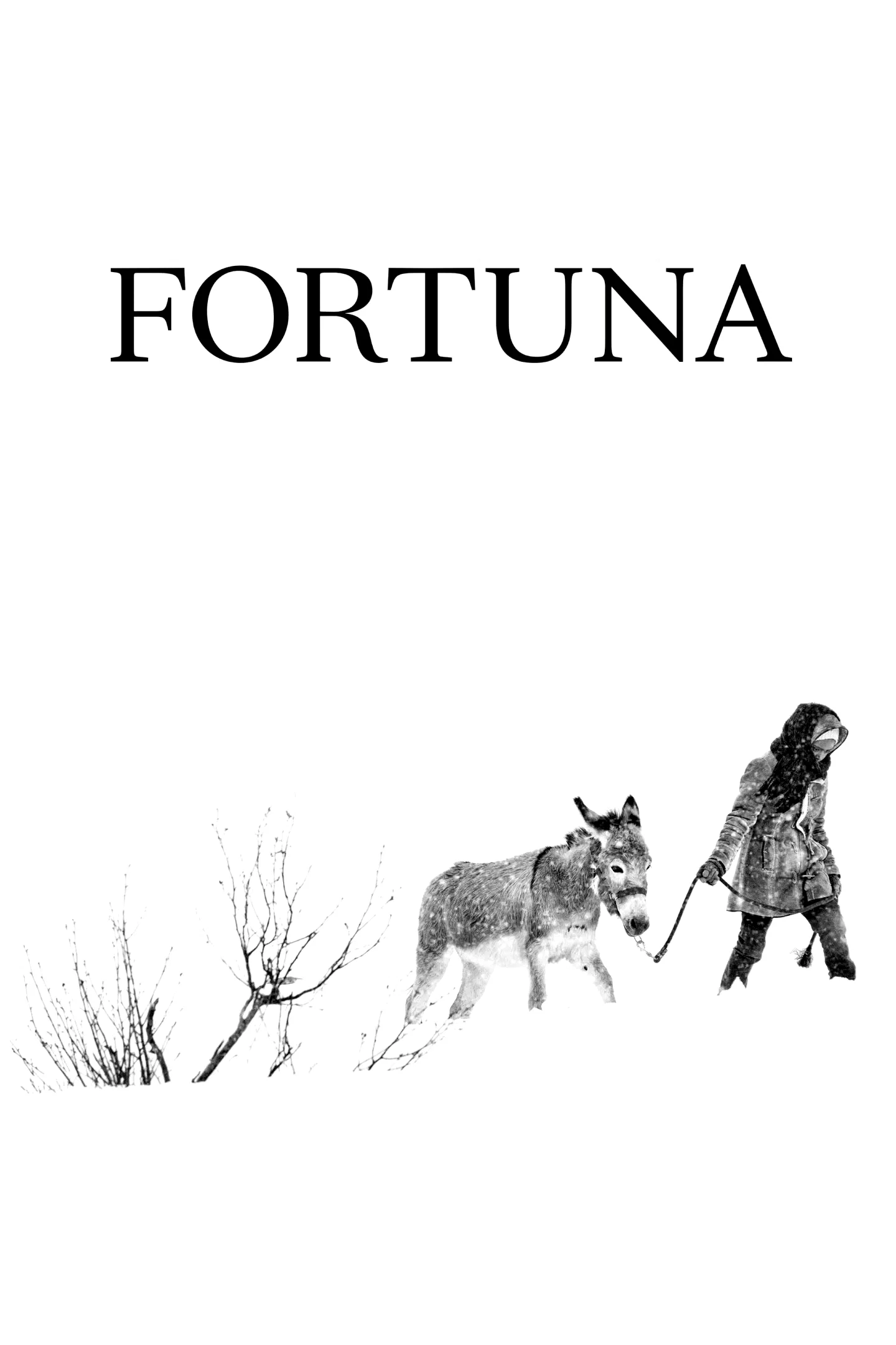Affiche du film : Fortuna