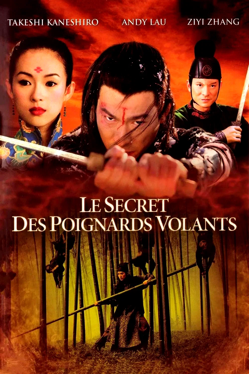 Affiche du film : Le secret des poignards volants