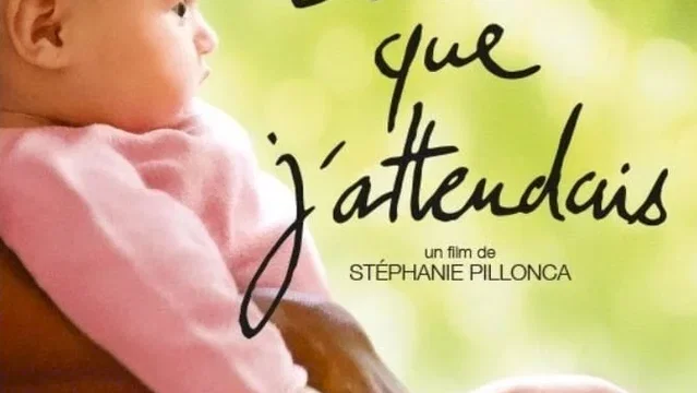 Affiche du film : C'est toi que j'attendais