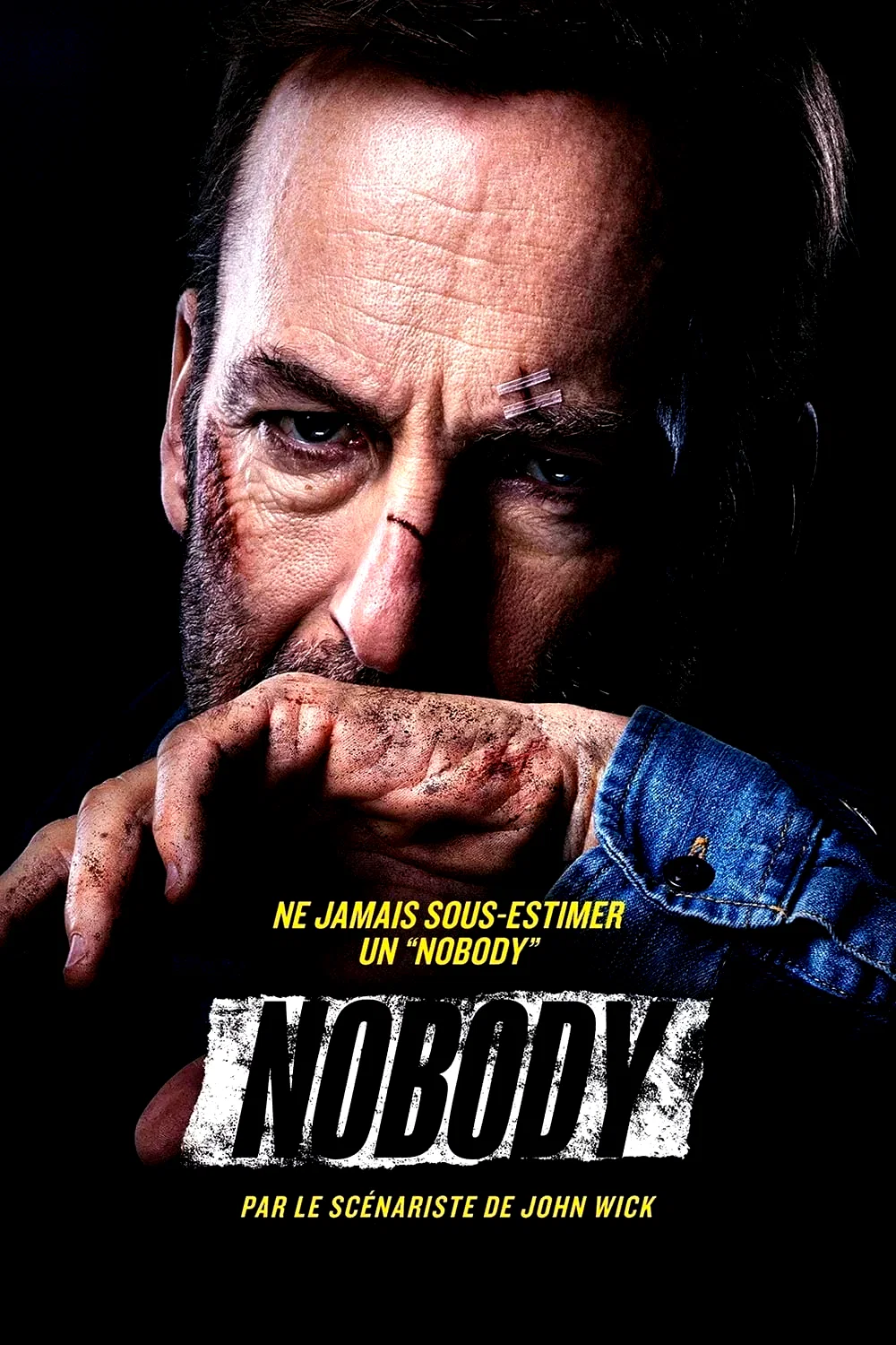 Affiche du film : Nobody