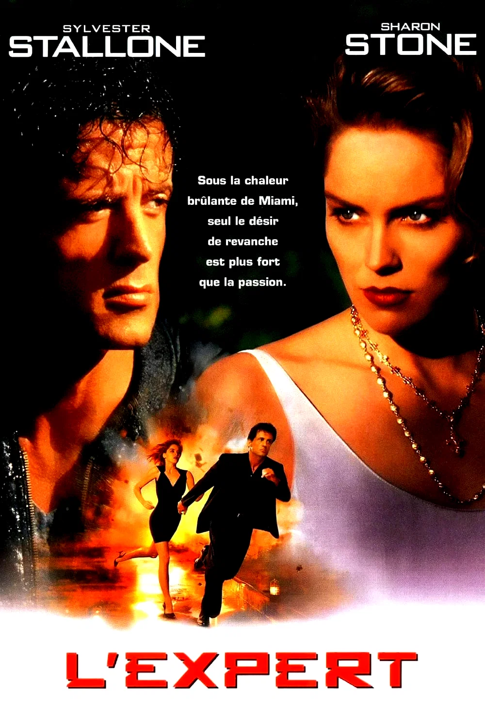 Affiche du film : L'expert