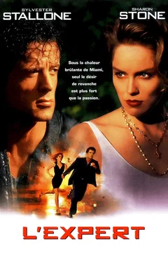 Affiche du film L'expert