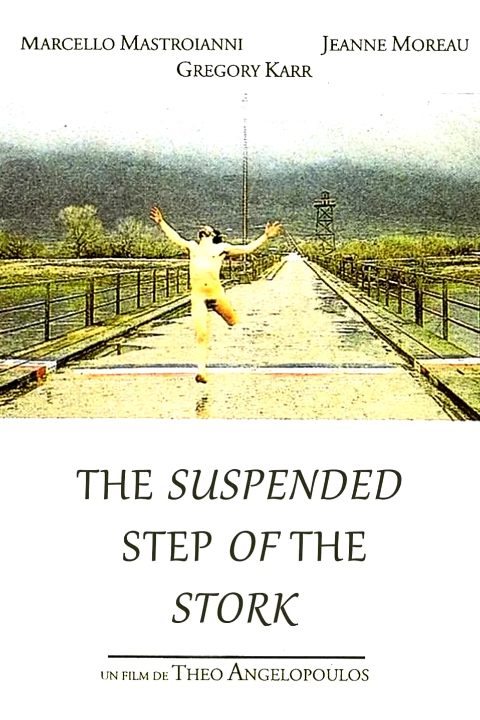 Photo 3 du film : Le pas suspendu de la cigogne