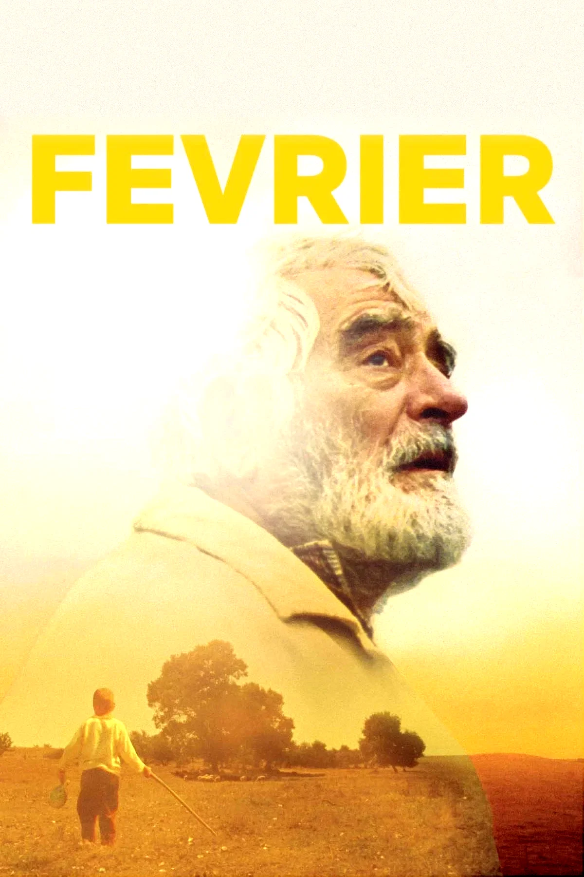 Affiche du film : Février