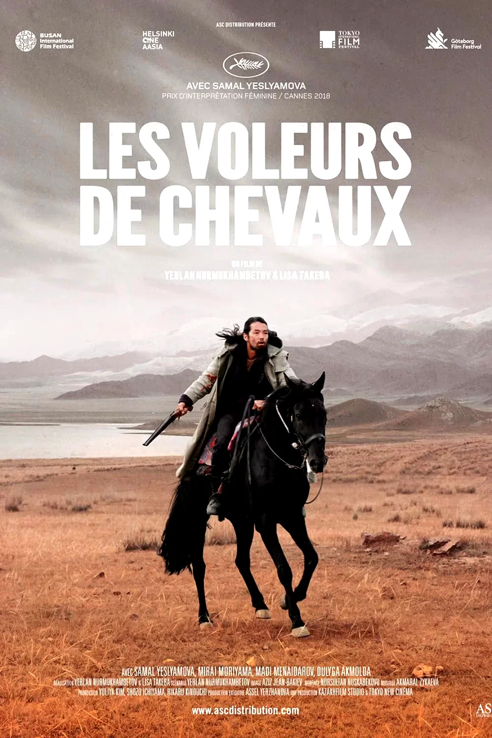 Affiche du film : Les Voleurs de chevaux