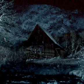 Photo du film : L'arbre (Drvo)