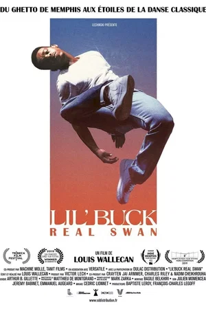 Affiche du film : Lil' Buck: Real Swan