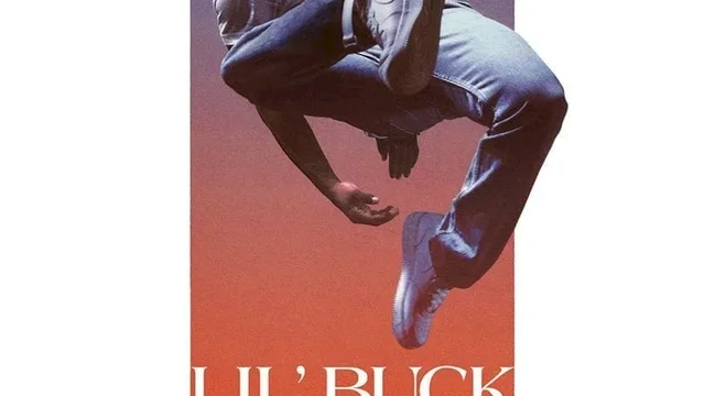 Affiche du film : Lil' Buck: Real Swan