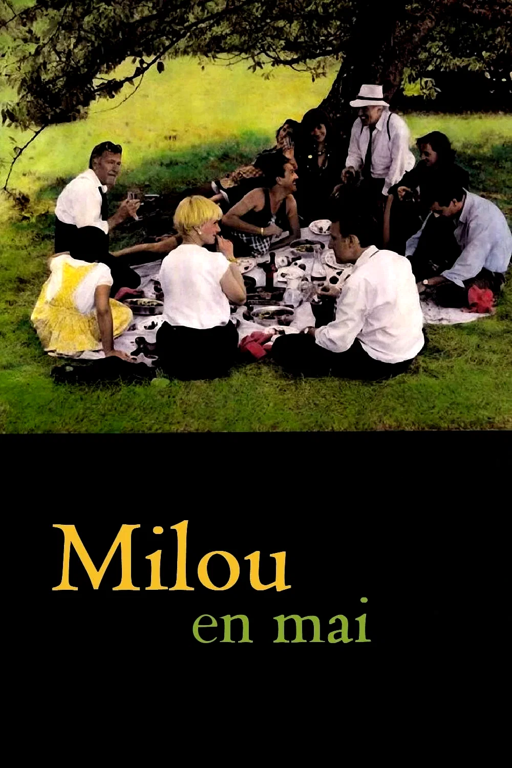 Photo 3 du film : Milou en mai