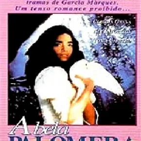 Photo du film : Fable de la belle colombine