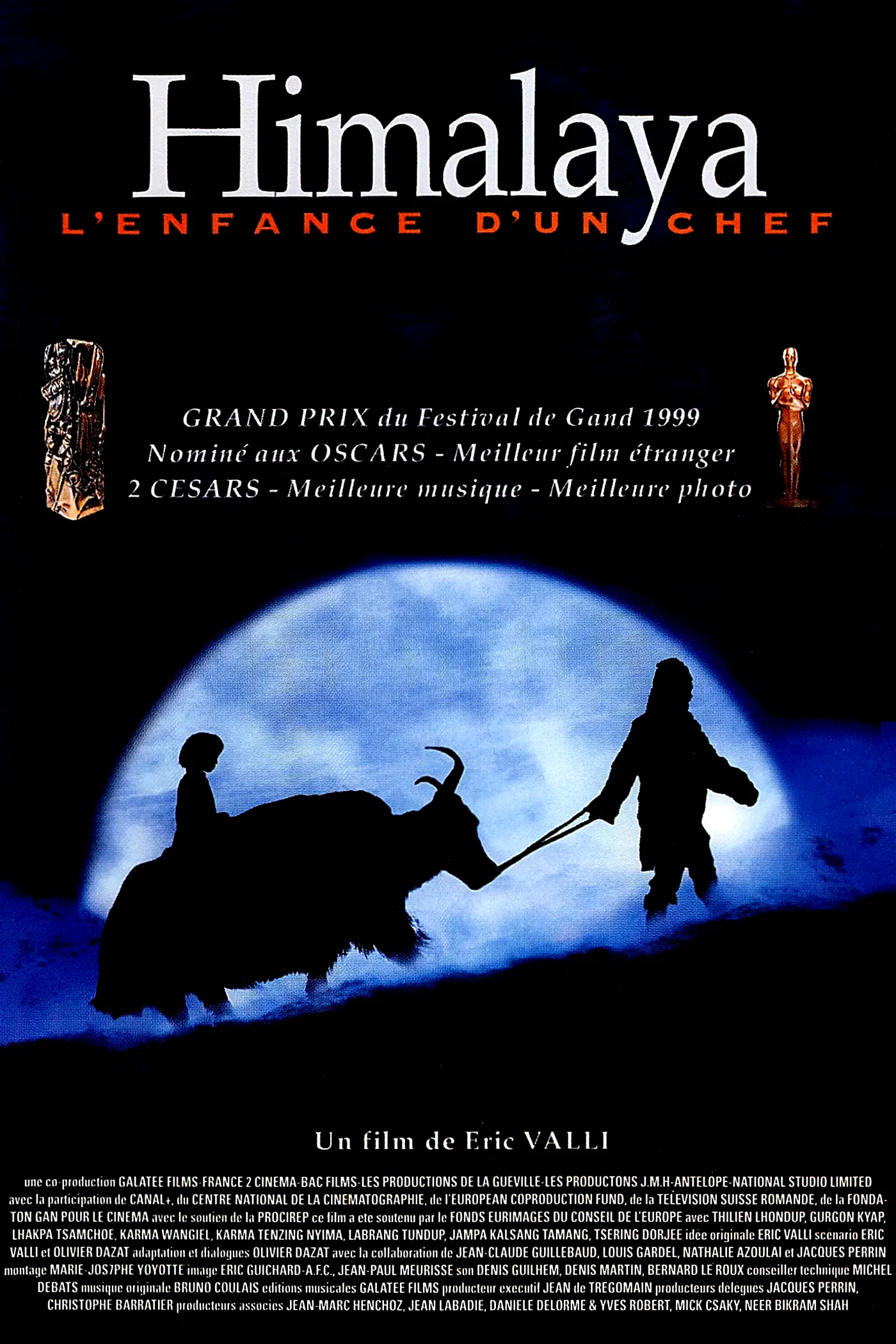Affiche du film : Himalaya, l'enfance d'un chef