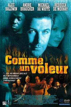 Affiche du film Comme un voleur