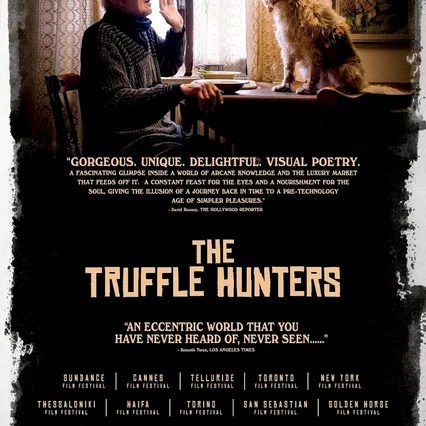 Miniature photo du film : Chasseurs de truffes