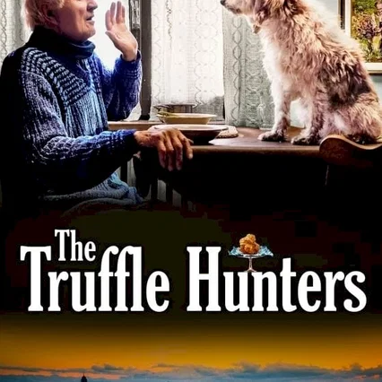 Miniature photo du film : Chasseurs de truffes