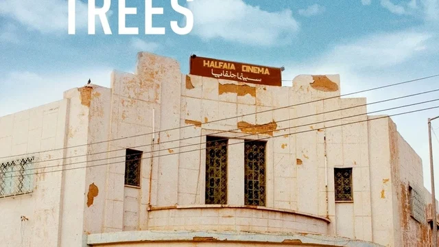 Affiche du film : Talking About Trees