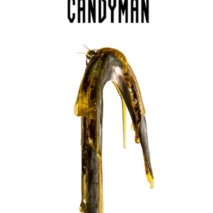 Miniature photo du film : Candyman