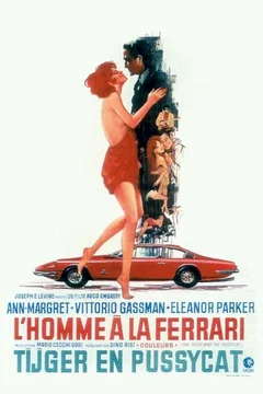 Affiche du film L'Homme à la Ferrari