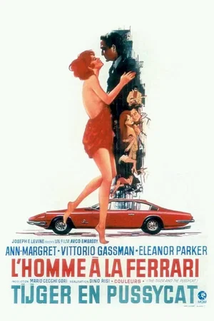 Affiche du film : L'Homme à la Ferrari