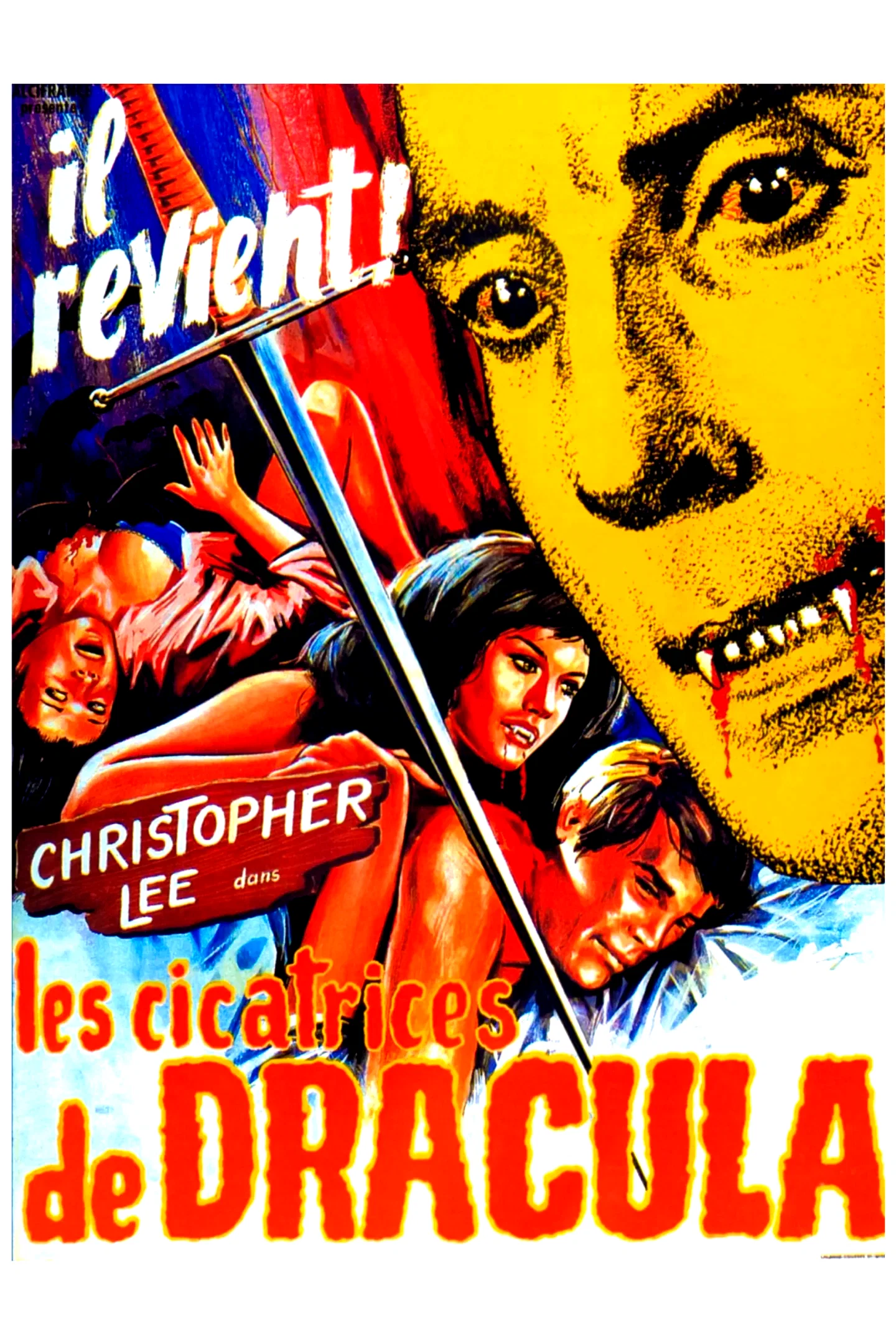 Photo 2 du film : Les cicatrices de Dracula