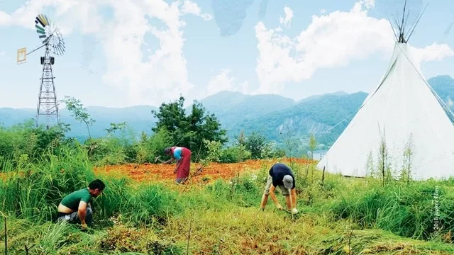 Affiche du film : Permaculture, la voie de l'autonomie