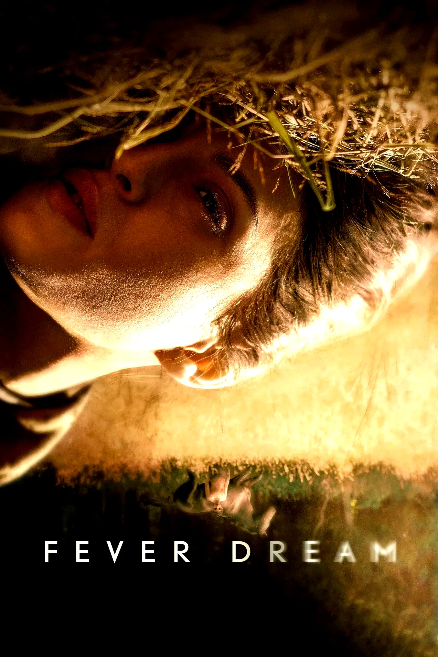 Affiche du film : Toxique