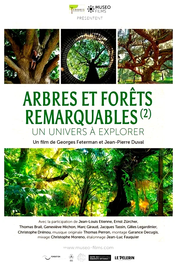 Affiche du film : Arbres et forêts Remarquables, un univers à explorer