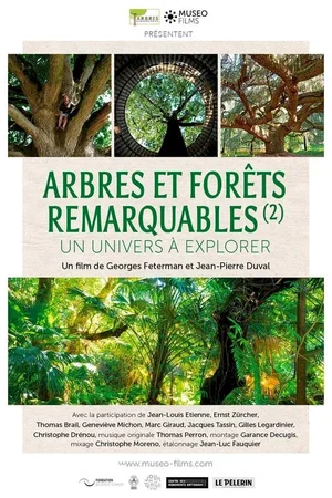 Affiche du film : Arbres et forêts Remarquables, un univers à explorer