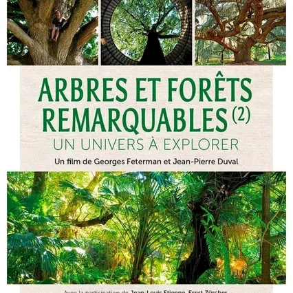 Miniature photo du film : Arbres et forêts Remarquables, un univers à explorer