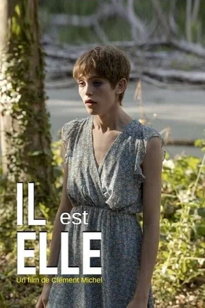 Affiche du film : Il est elle